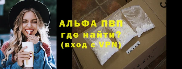 СК Новозыбков
