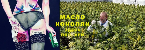 гидра Новодвинск