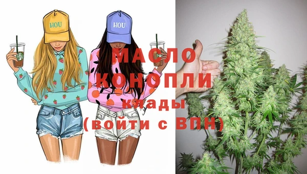 гидра Новодвинск