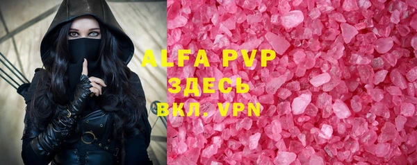 гидра Новодвинск