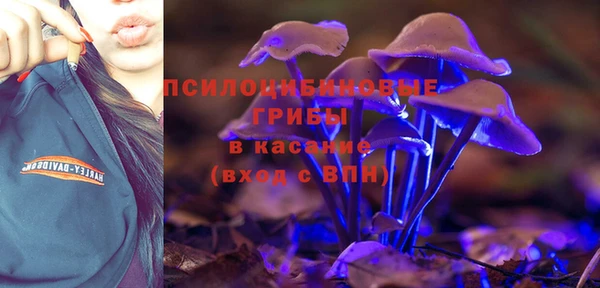 СК Новозыбков